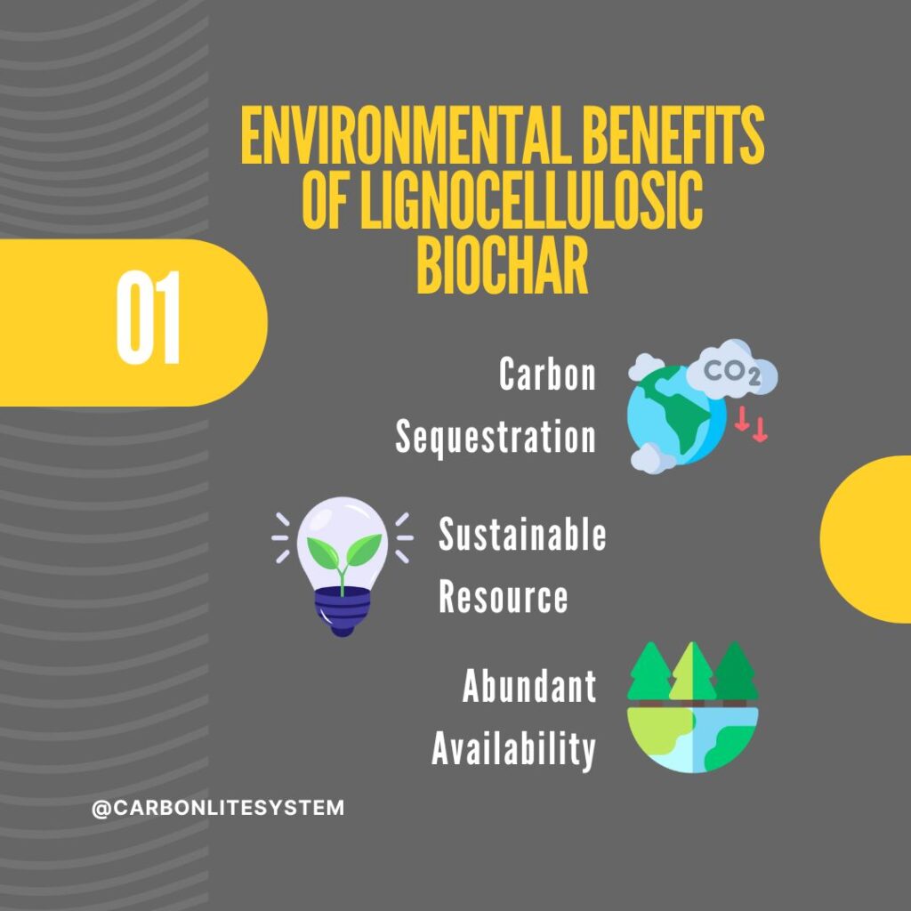 Environmental Benefits of Lignocellulosic Biochar

